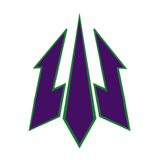L4rsinat0r's emblem