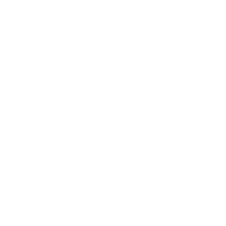 SPEEDY0110's emblem