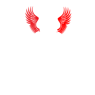 2EzForTesla's emblem