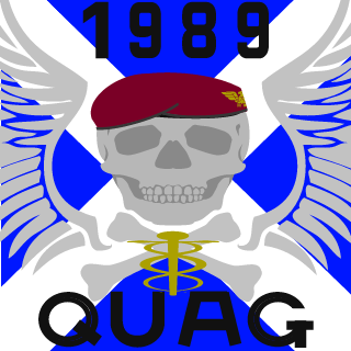 COBBLES2811's emblem
