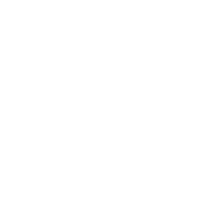 Antunes0198's emblem