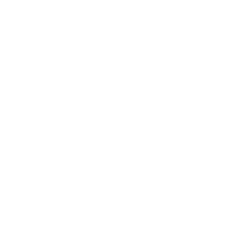 ZIMION78's emblem