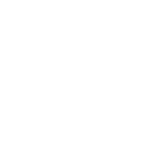 Ansottica's emblem
