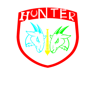 sFd_BAGHA's emblem