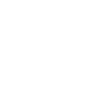 alnmy's emblem