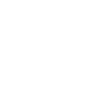LVzodiak's emblem