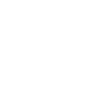93895f9cee8114c5's emblem