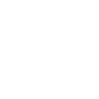 FERZKY's emblem