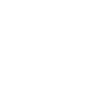 ZahHero's emblem