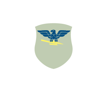 Blazeninja45's emblem