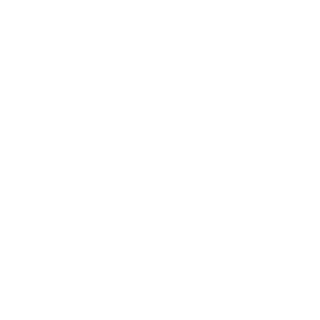 Skiddyfoil's emblem