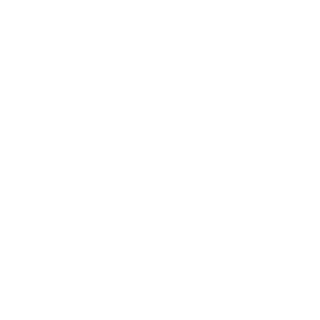 Sk4venger's emblem