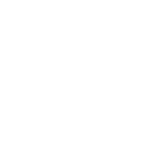 906a821f4138b650's emblem