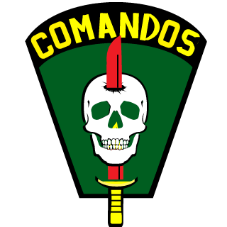 TEIXEIRA-CWB's emblem