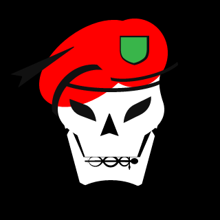 MecanicoKauan's emblem