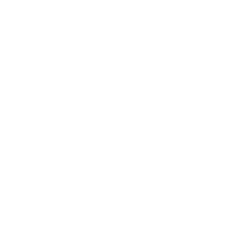Axon-0413's emblem