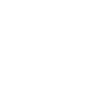 sas2022's emblem