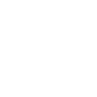 SkyEye22's emblem