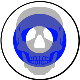 nill329's emblem