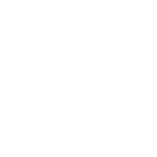 Masterandsoft's emblem