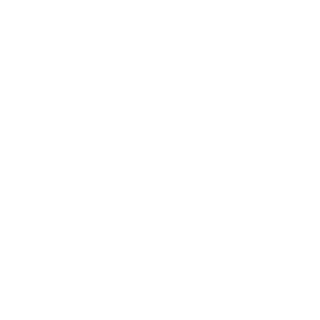 ScopinEm's emblem