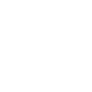 PalmenAWS's emblem