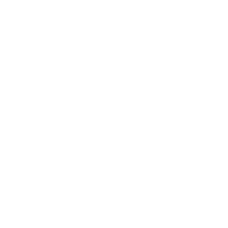 Gamer0Master's emblem