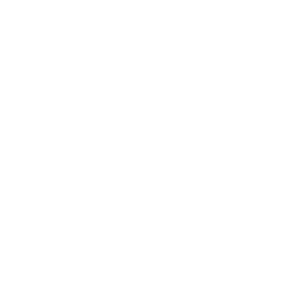 Blazze_IT's emblem