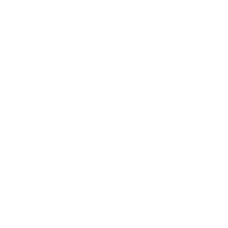 Bi0H0g's emblem