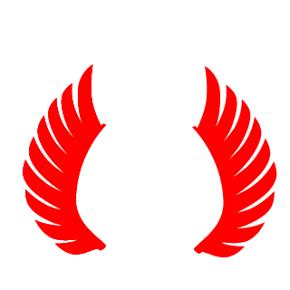 Robson198918's emblem