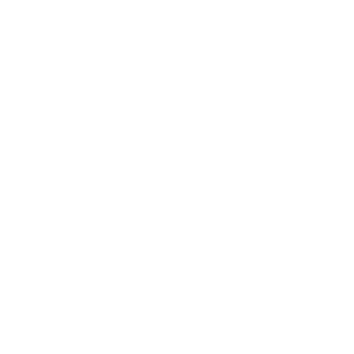 SleepyBird76's emblem