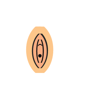 longdonglepercau's emblem