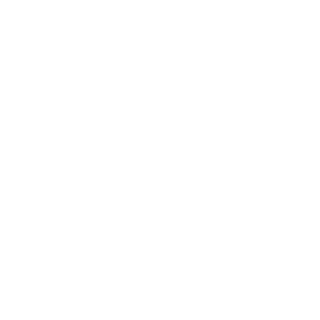 MasterElking's emblem