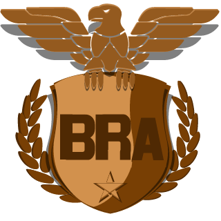 Bravos Brasil's emblem