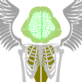 mescendre's emblem