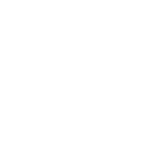 11baski's emblem