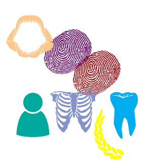 ipgfis's emblem