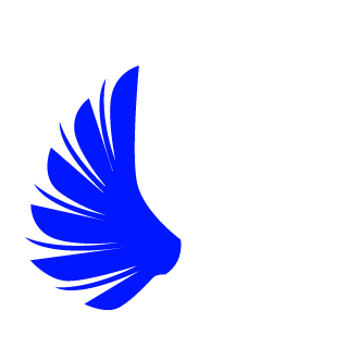 llucasba's emblem