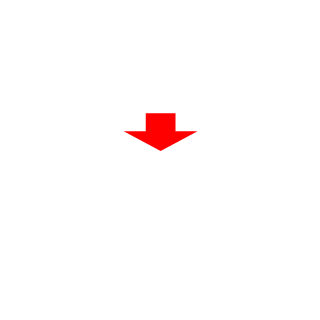 iBAG Platoon's emblem
