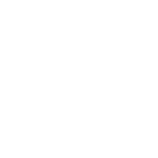 OsamaaMusk's emblem