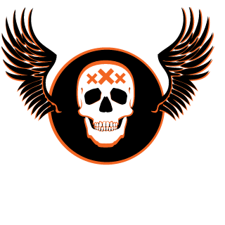 DragonoidAlex's emblem