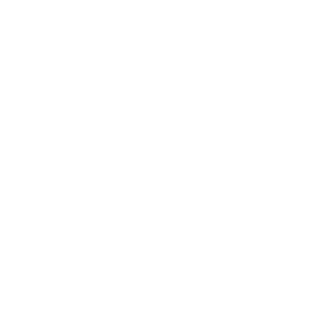 Maximus1980nl's emblem