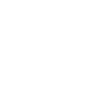 Gabrael_Healer's emblem