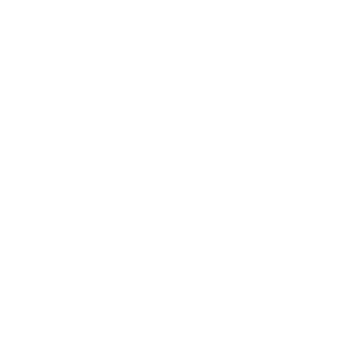 tttornadoice's emblem