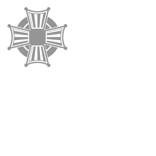 IHot_since_85I's emblem