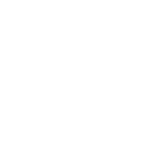 A11R's emblem