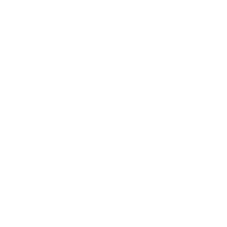 0911casi's emblem