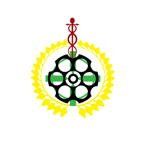 SaturnBoy_kl's emblem
