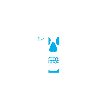 240119961's emblem