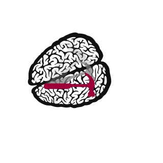 Go7koMitic's emblem